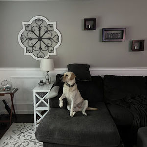 Meet your Posher, Jackson